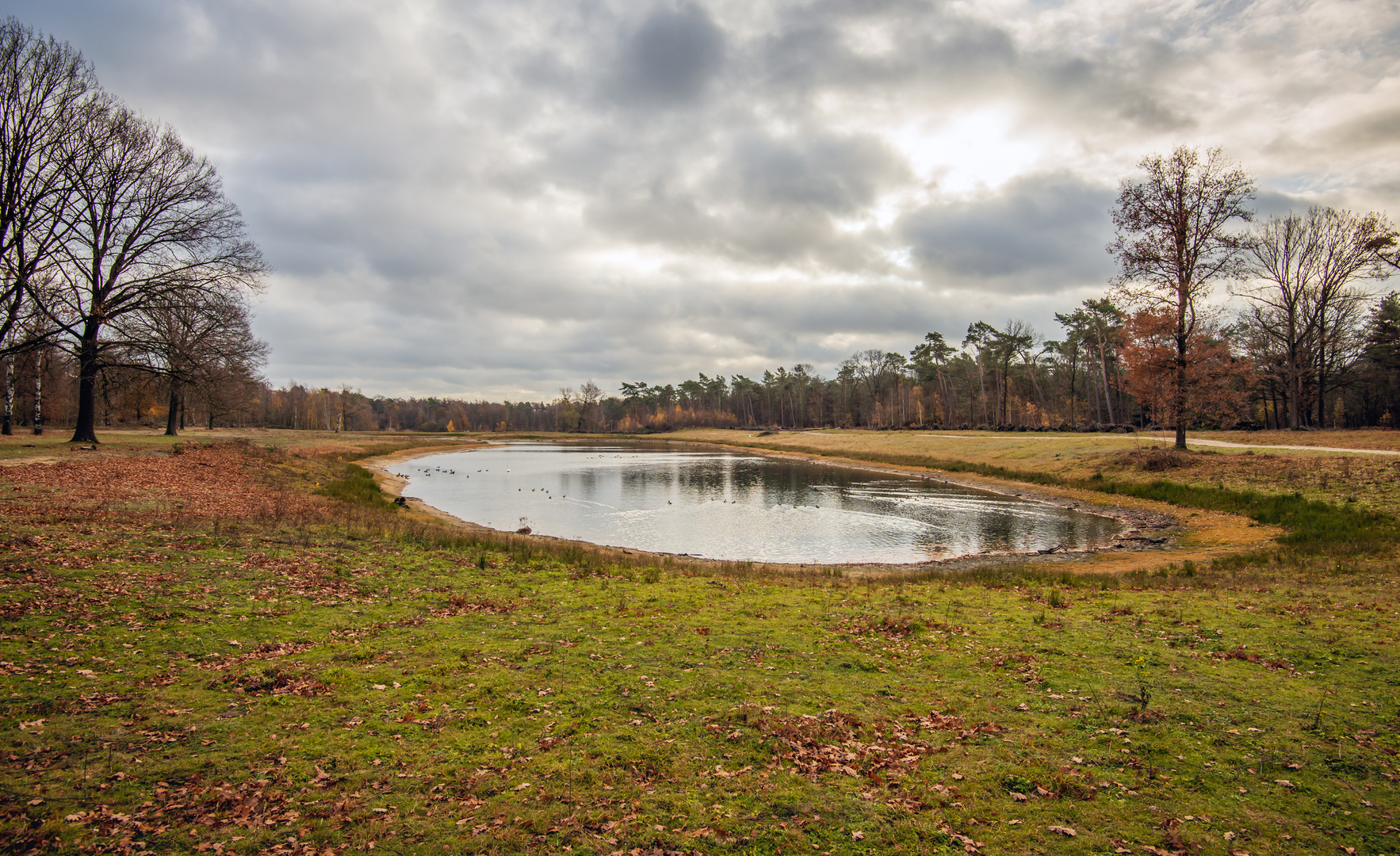 An image depicting the trail Roeivijver, Oude Zwemplas and Nieuwe Leemputten Loop and its surrounding area.