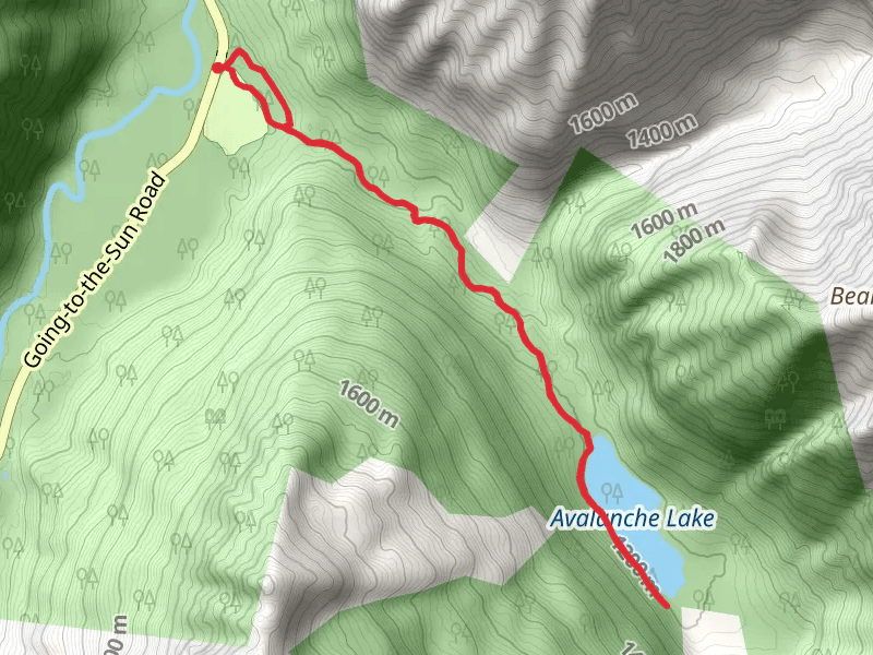 Avalanche Lake - Trail of the Cedars