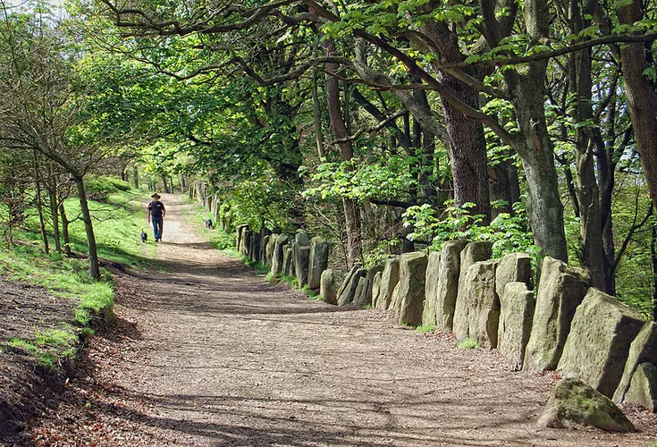Otley Chevin