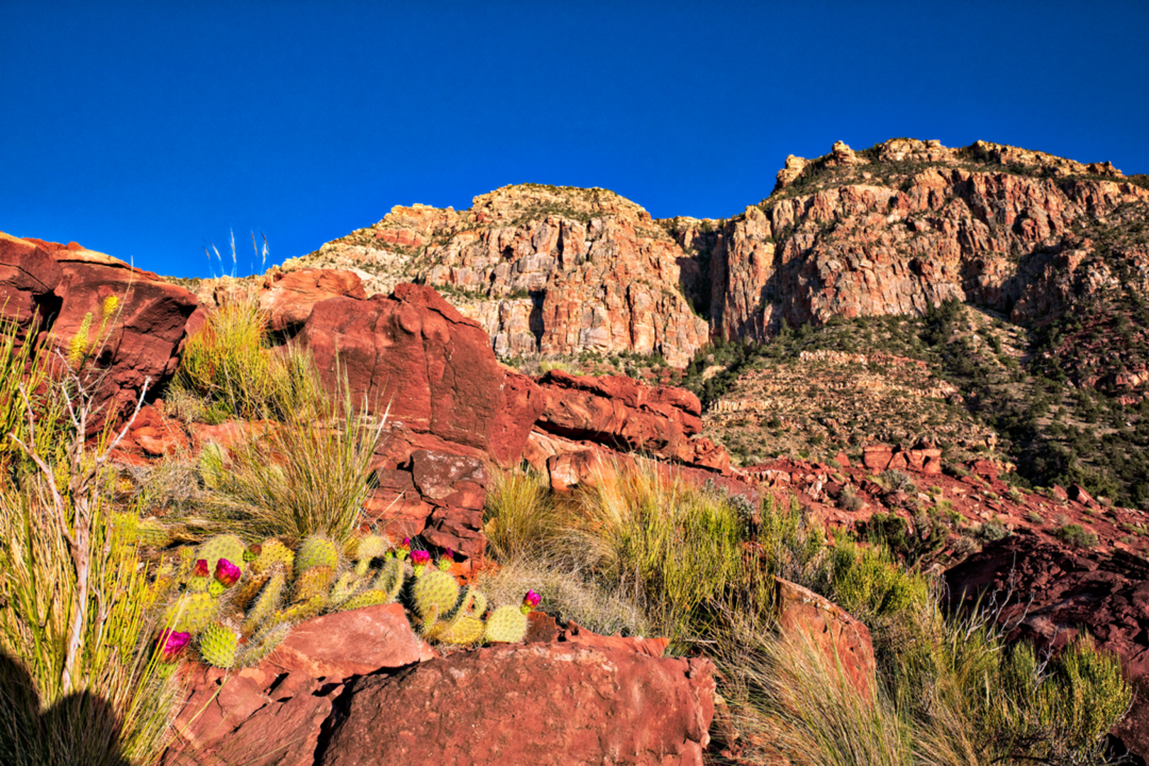 An image depicting the trail Tanner Trail and its surrounding area.