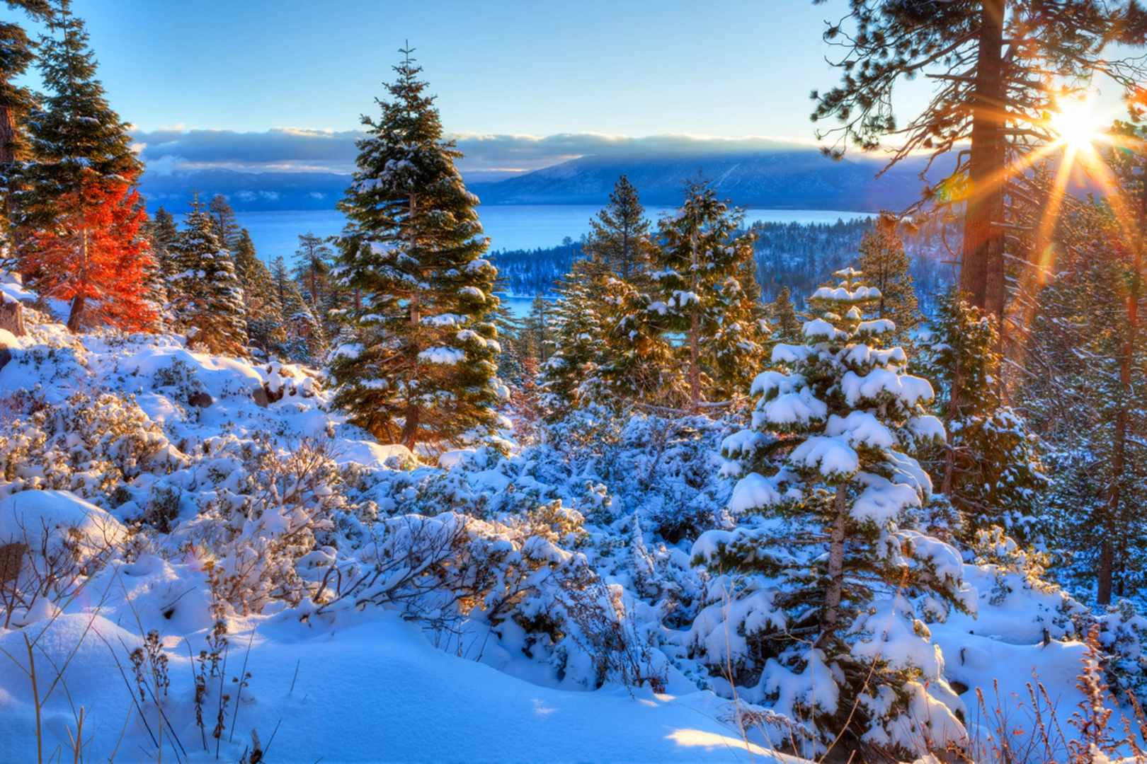 An image depicting the trail Al Tahoe Connector Trail and its surrounding area.