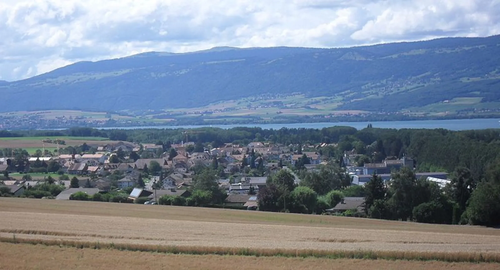An image depicting the trail Yvonand - Lac de Neuchâtel Trail and its surrounding area.