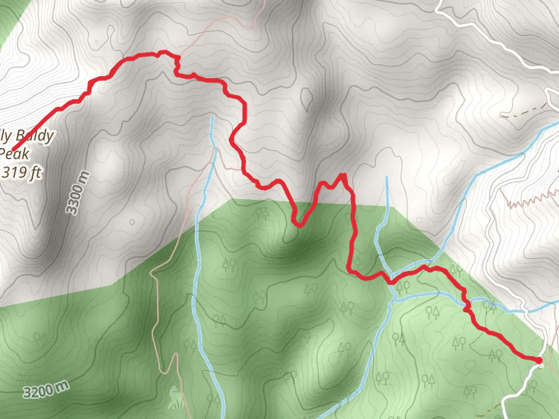 Shelly Baldy Peak via Blue Lake Trail