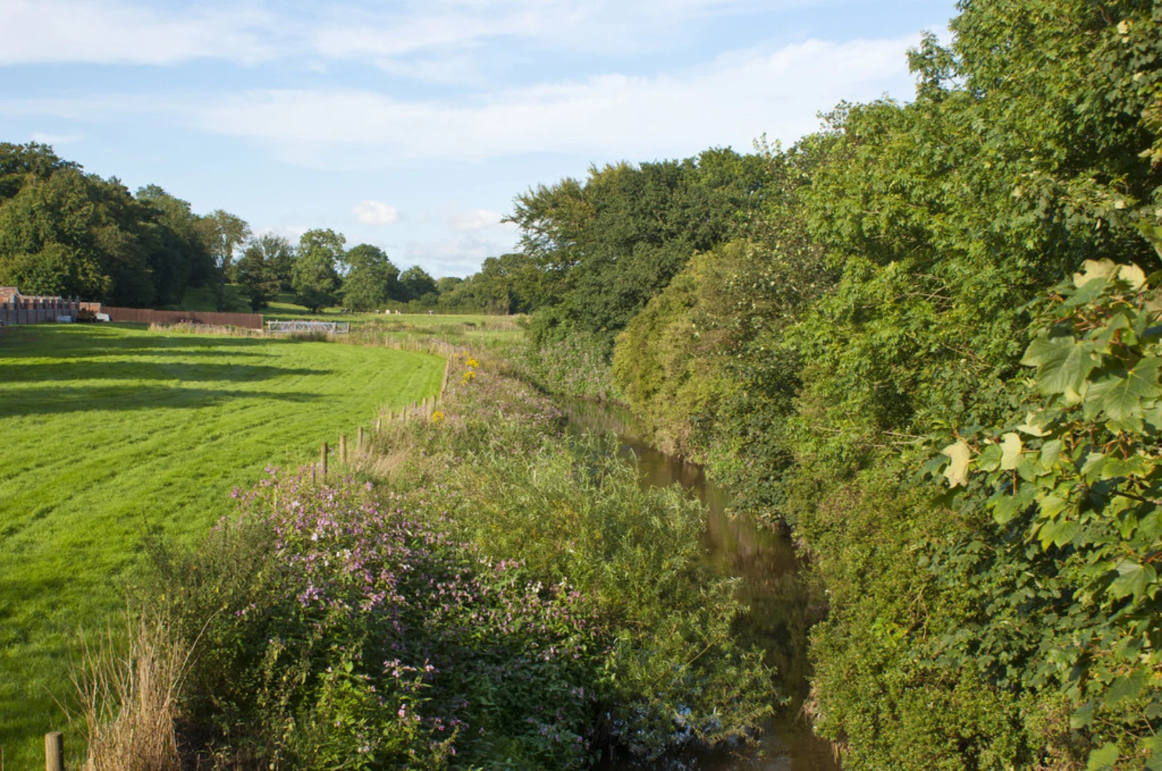 An image depicting the trail Eccleston Loop and its surrounding area.
