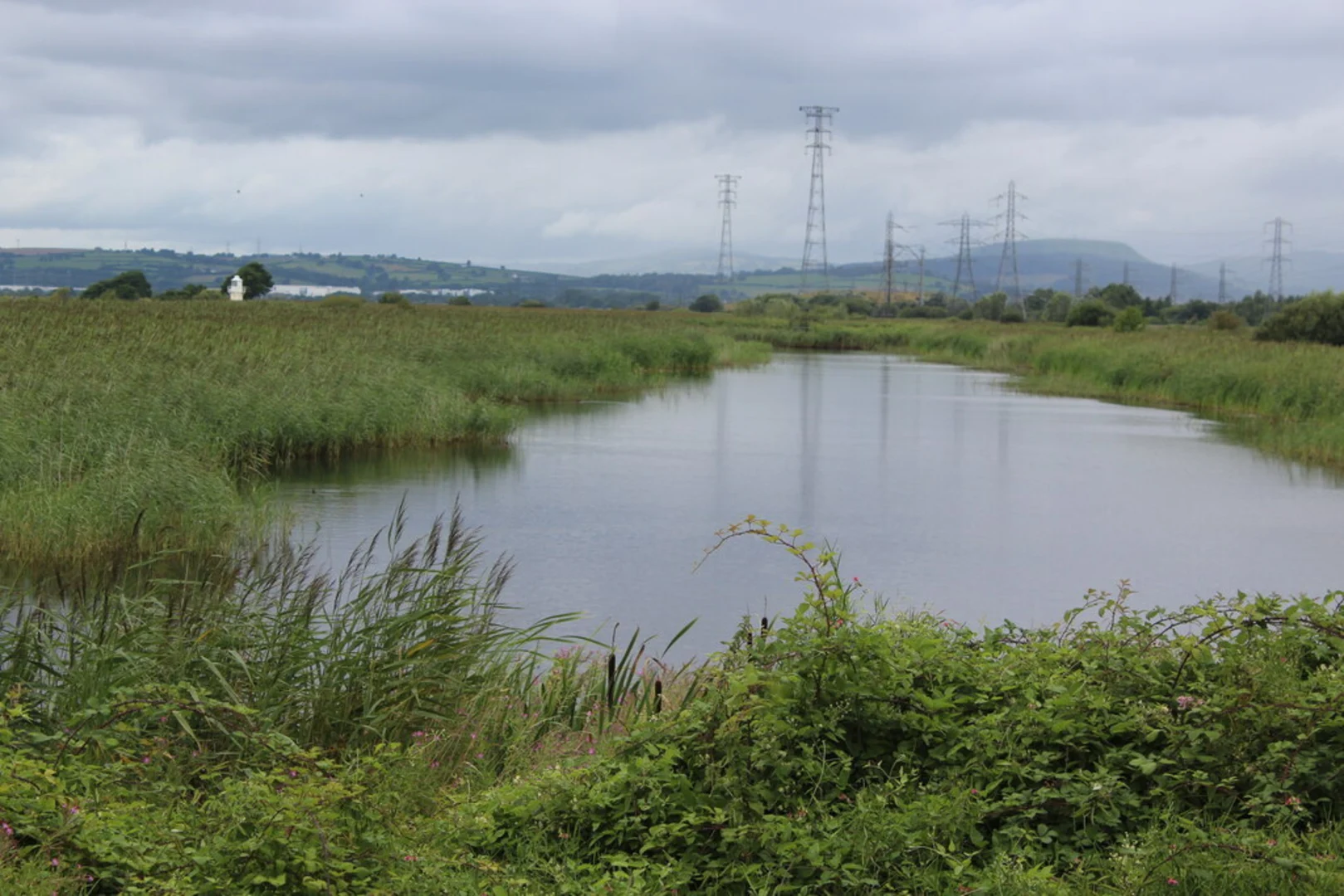 An image depicting the trail Newport Wetlands Loop and its surrounding area.