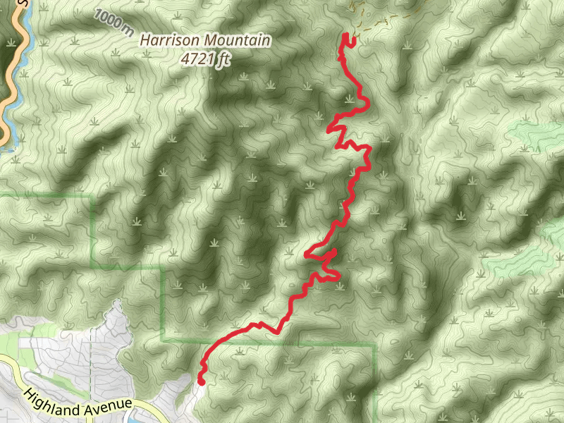 Plunge Creek Road Walk