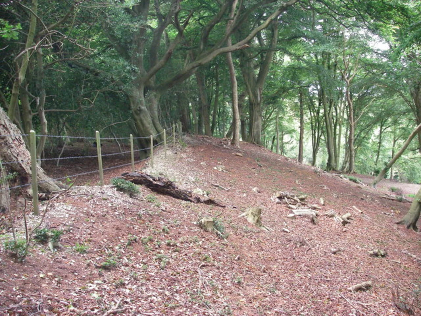An image depicting the trail Winall's Wood and River Avon via Avon Valley Path and its surrounding area.