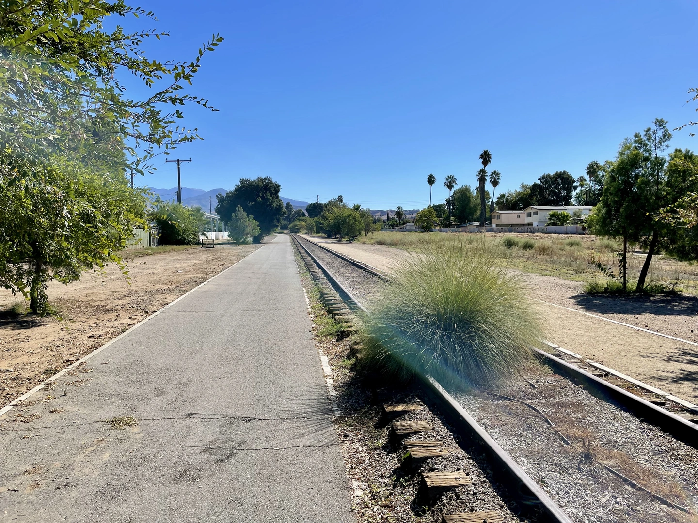 An image depicting the trail Orange Blossom Trail and its surrounding area.