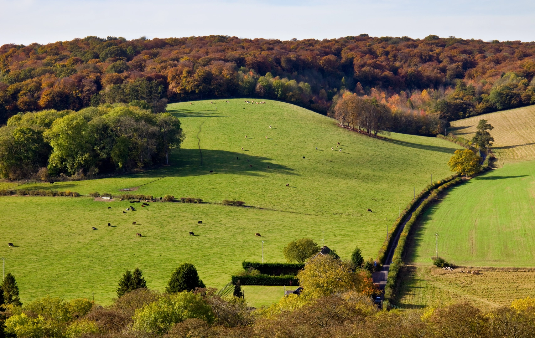 An image depicting the trail North Chiltern Trail and its surrounding area.