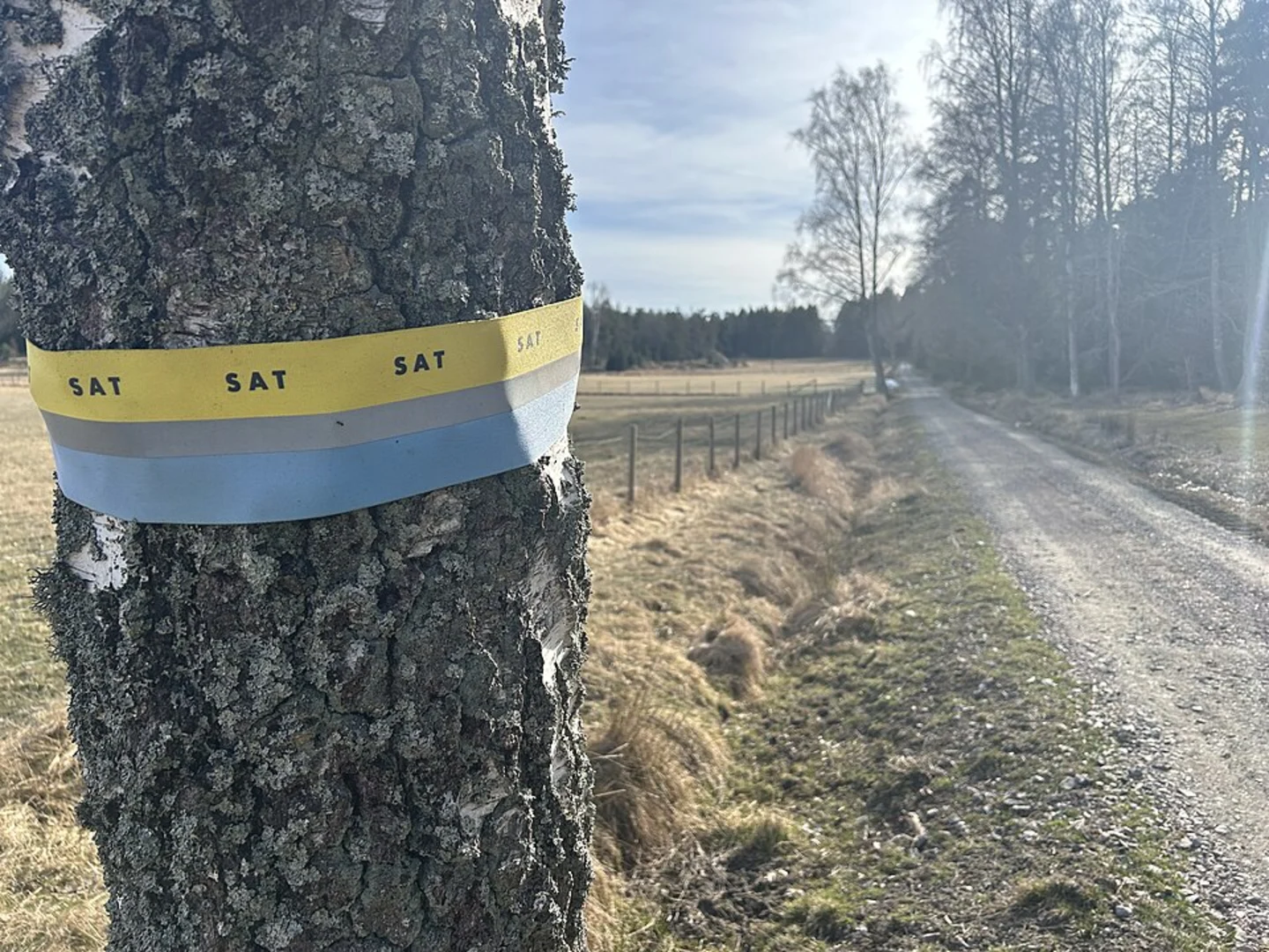 An image depicting the trail Stockholm Archipelago Trail - Rånö and its surrounding area.