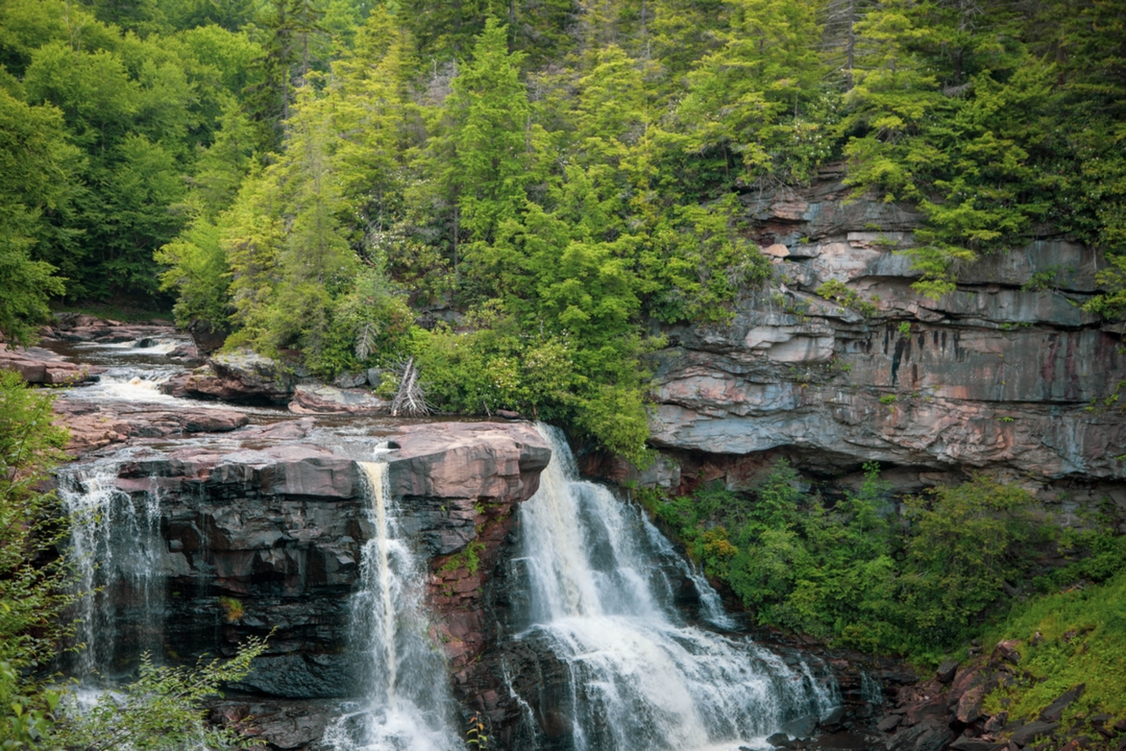 An image depicting the trail Blackwater Falls and River Loop and its surrounding area.