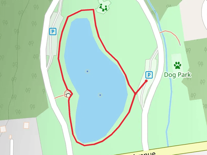 Wood Dale County Park Pond Loop