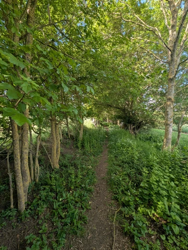 Hartest Circular