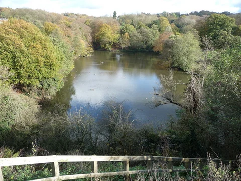 Breaches Pool and Cooper's Wood Loop