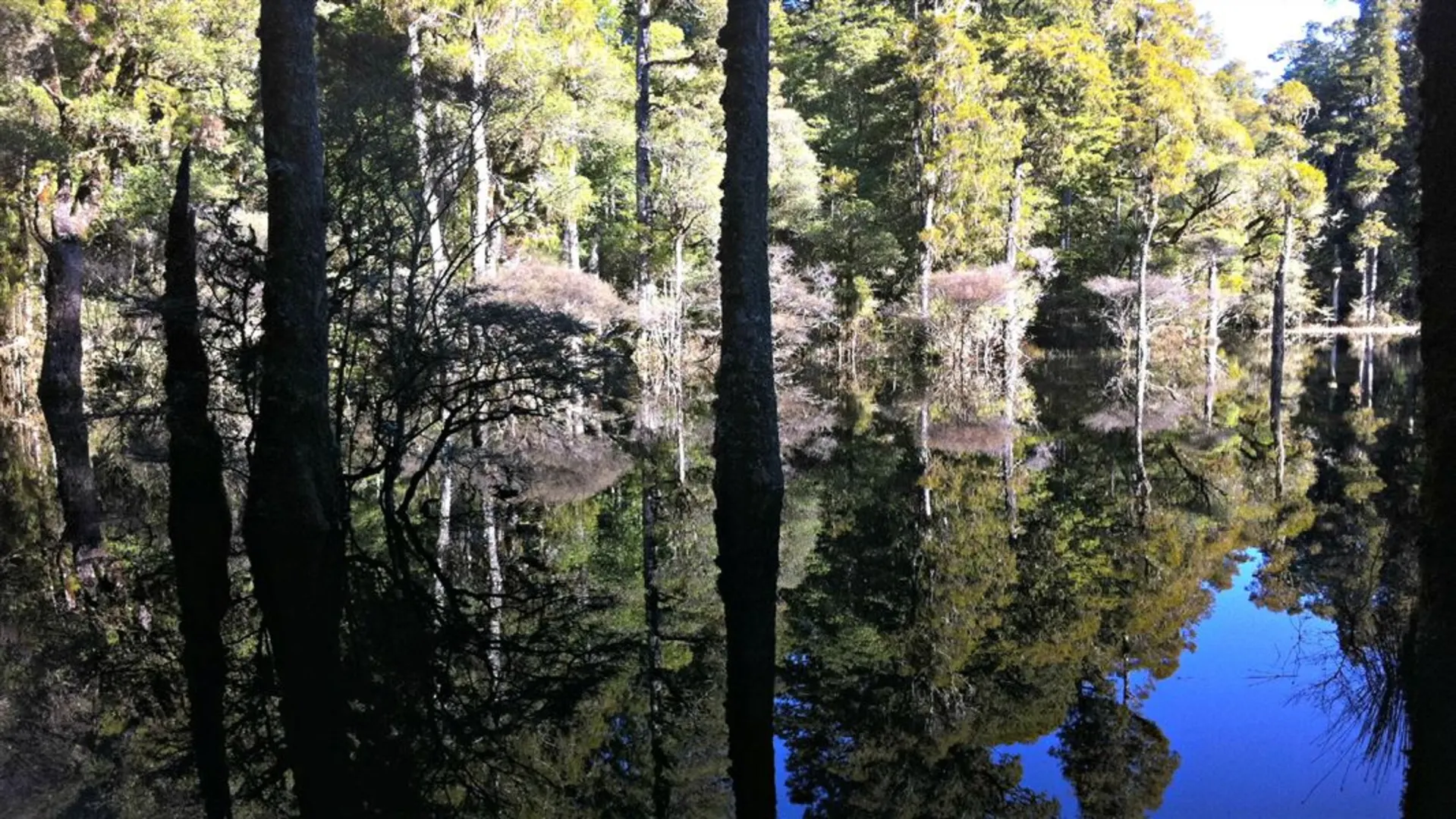 An image depicting the trail Waihora Lagoon Walk and its surrounding area.