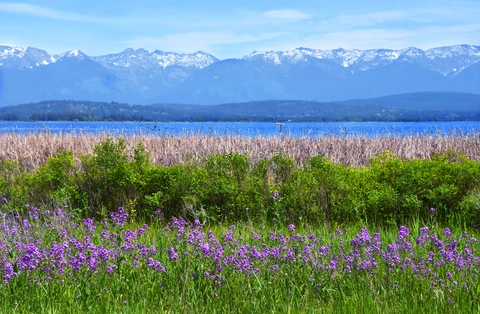 Phillips Trail