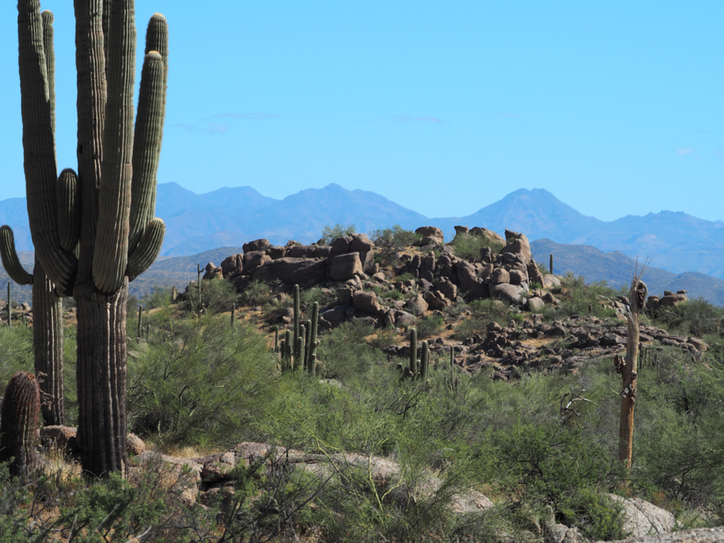An image depicting the trail Dennys Trail via Jim N Gayle Trail and its surrounding area.