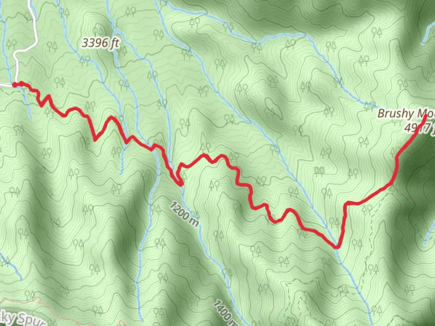An image depicting the trail Brushy Mountain and Trillium Gap Trail and its surrounding area.
