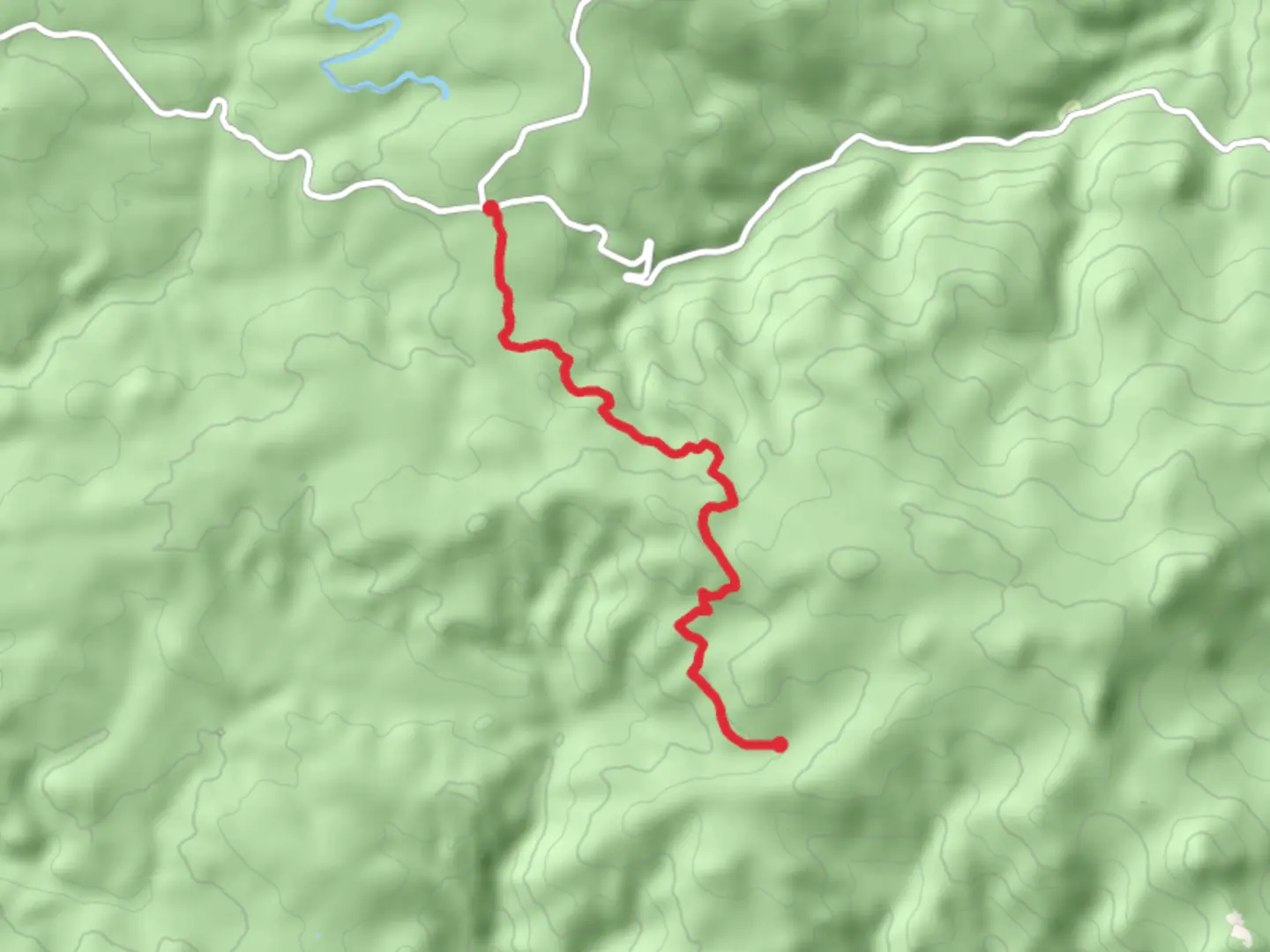 An image depicting the trail Roaring Creek and its surrounding area.
