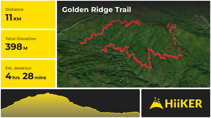 Golden Ridge Trail | Madison County | North Carolina