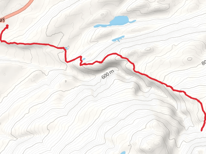 Little Coal Creek Trail