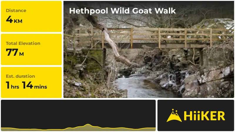 | Hethpool Wild Goat Walk