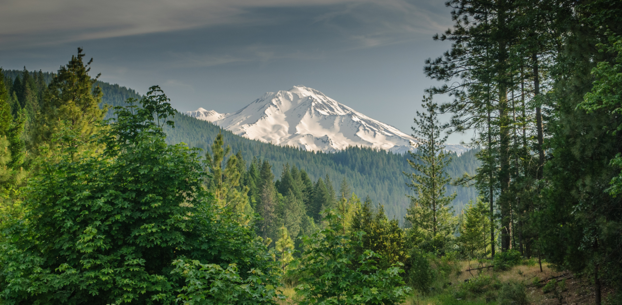An image depicting the trail Gateway Trail and Tunnel Loop Trail and its surrounding area.