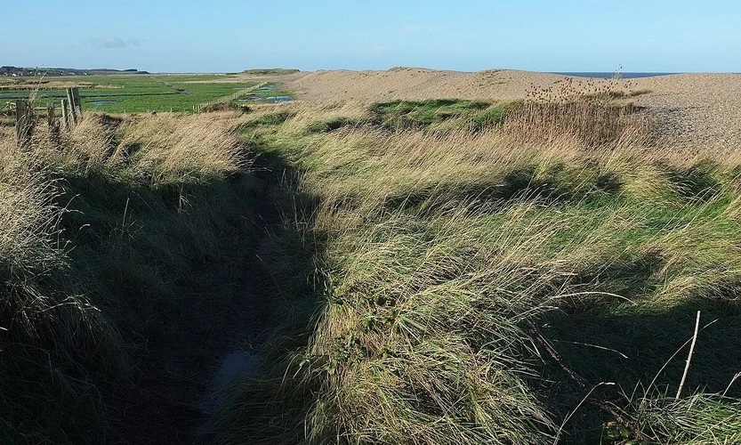 Salthouse to Cromer Walk
