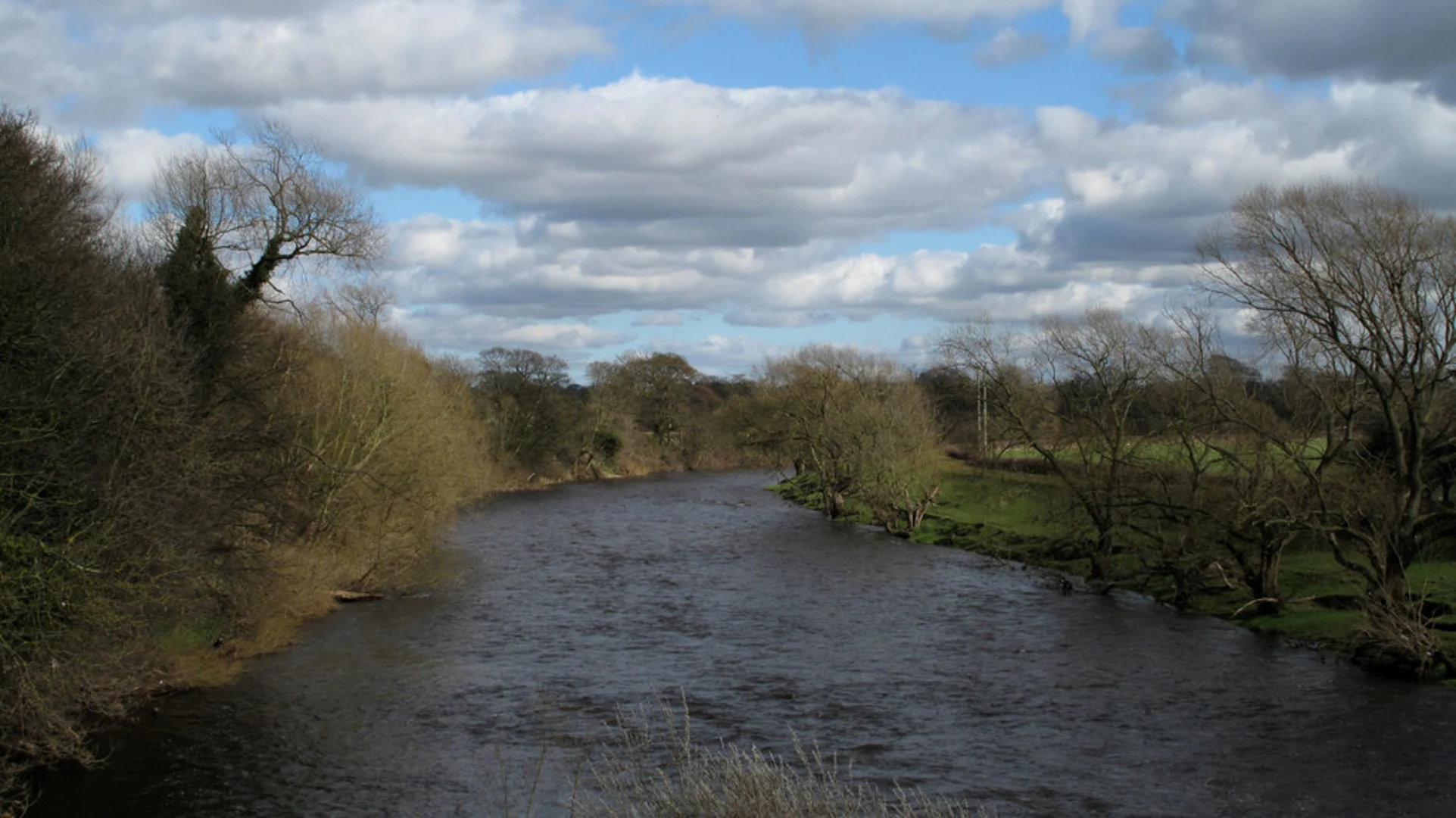 An image depicting the trail Hurworth on Tees Loop and its surrounding area.