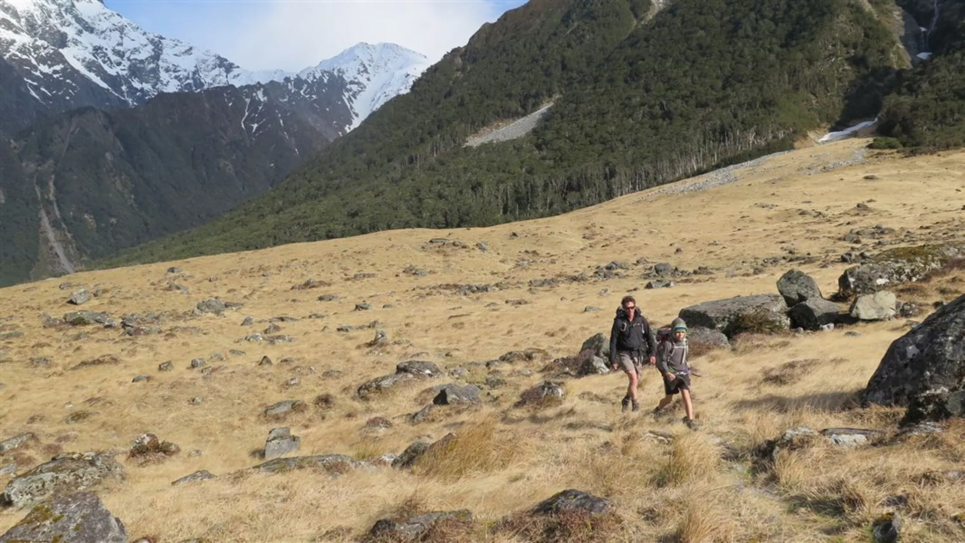 An image depicting the trail Huxley Valley Track - Ram Hill Carpark to Brodrick Hut and its surrounding area.