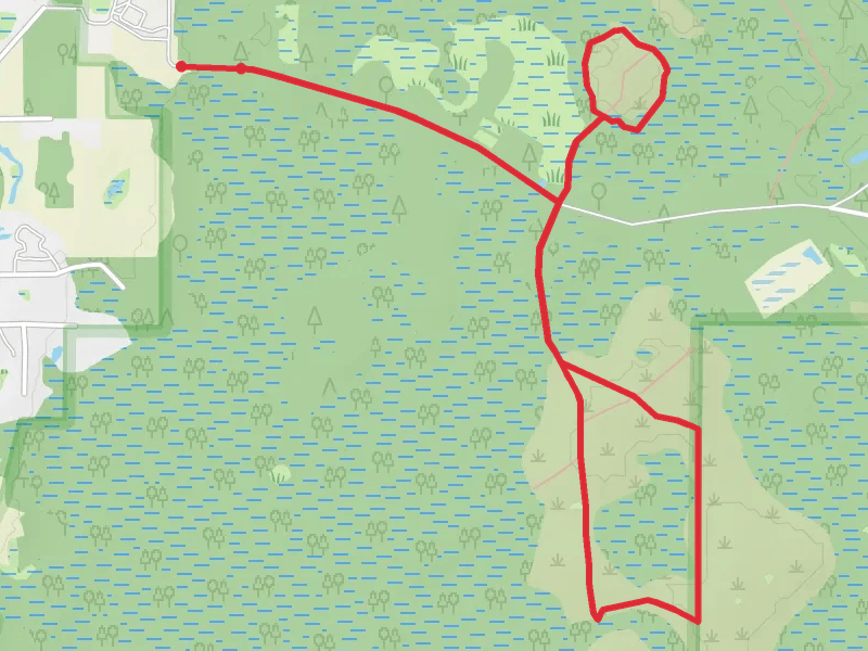 Big Cypress Swamp Loop