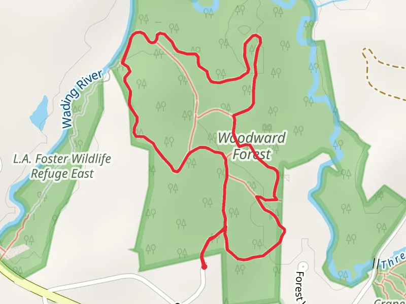 Wading River - Woodward Forest Loop