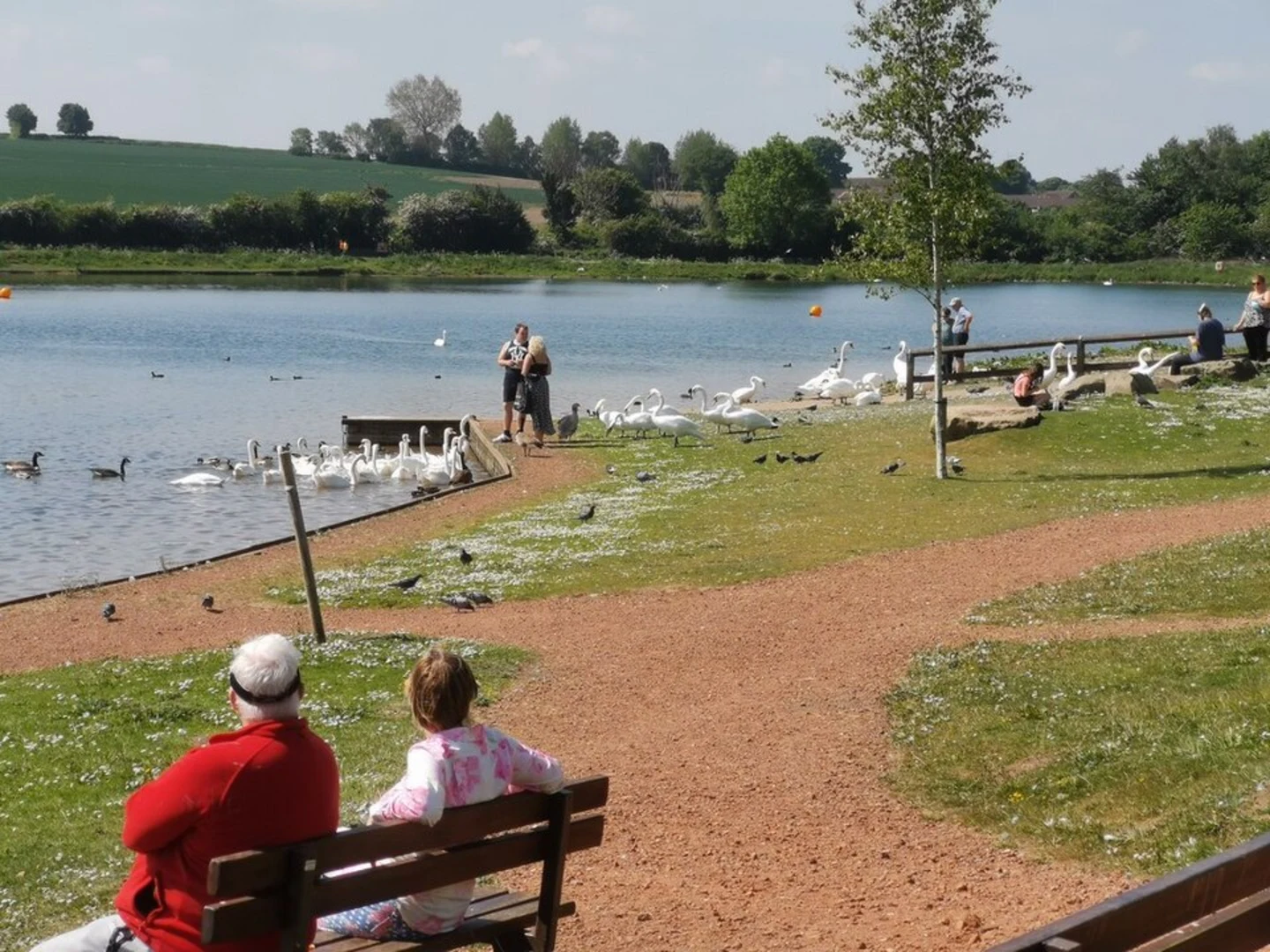 An image depicting the trail Thrybergh Country Park Loop and its surrounding area.