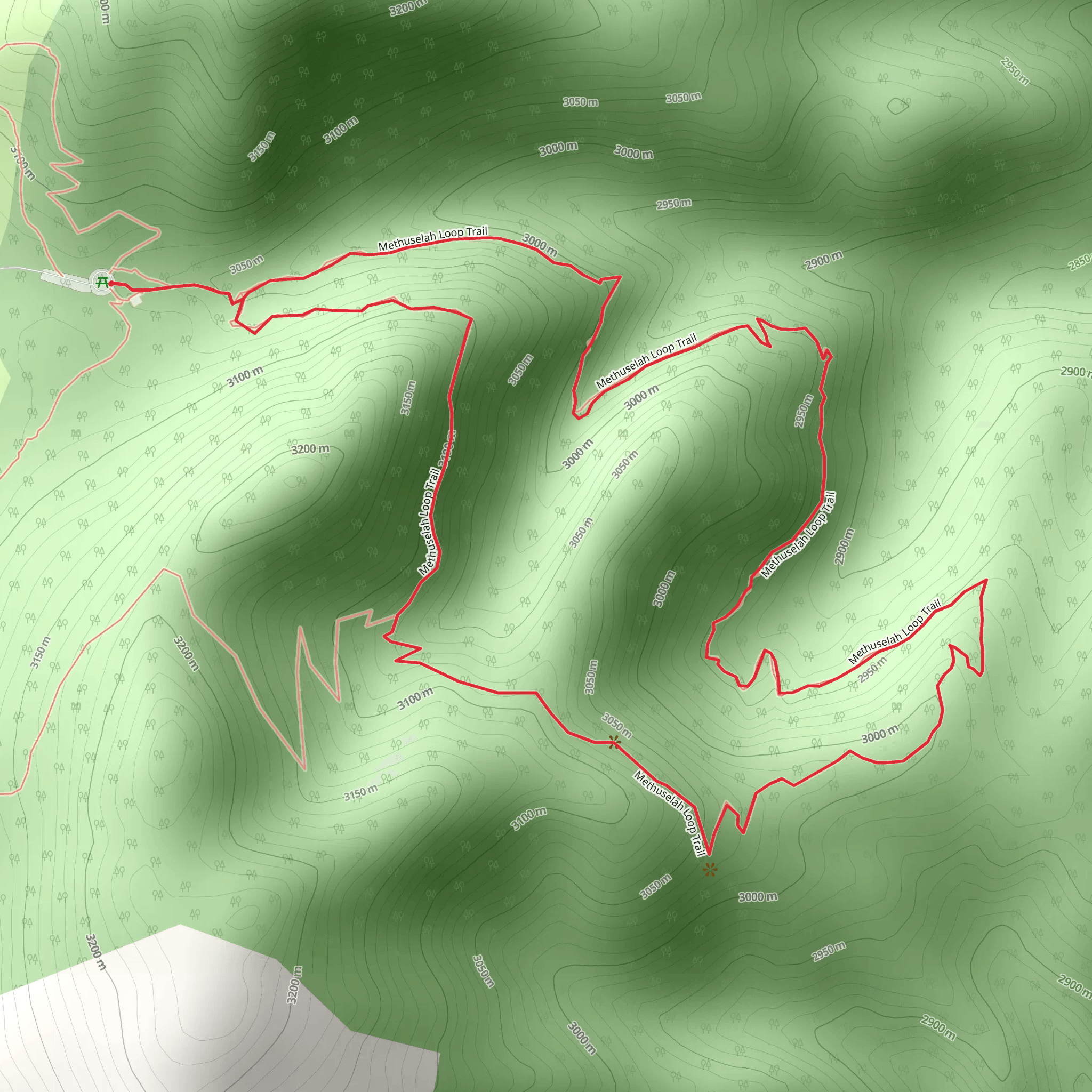 White Mountain Road Forest Route Loop mobile static map