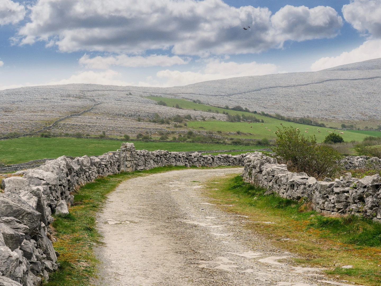 An image depicting the trail Lough Avalla Farm Loop and its surrounding area.