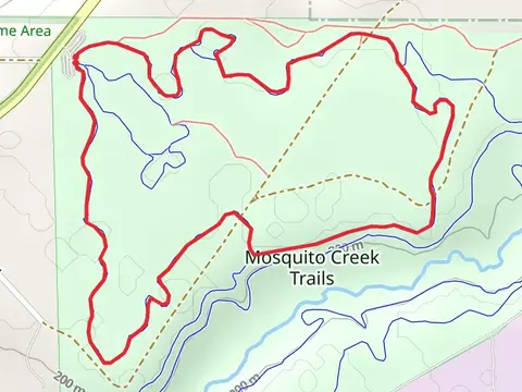 The Faz Track Loop