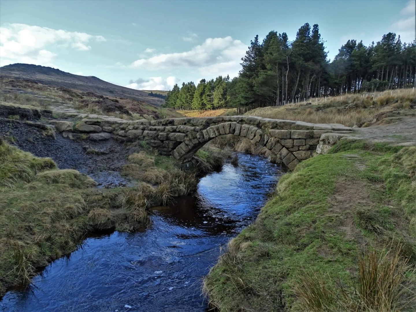 Longshaw Moorland Loop | Sheffield | England