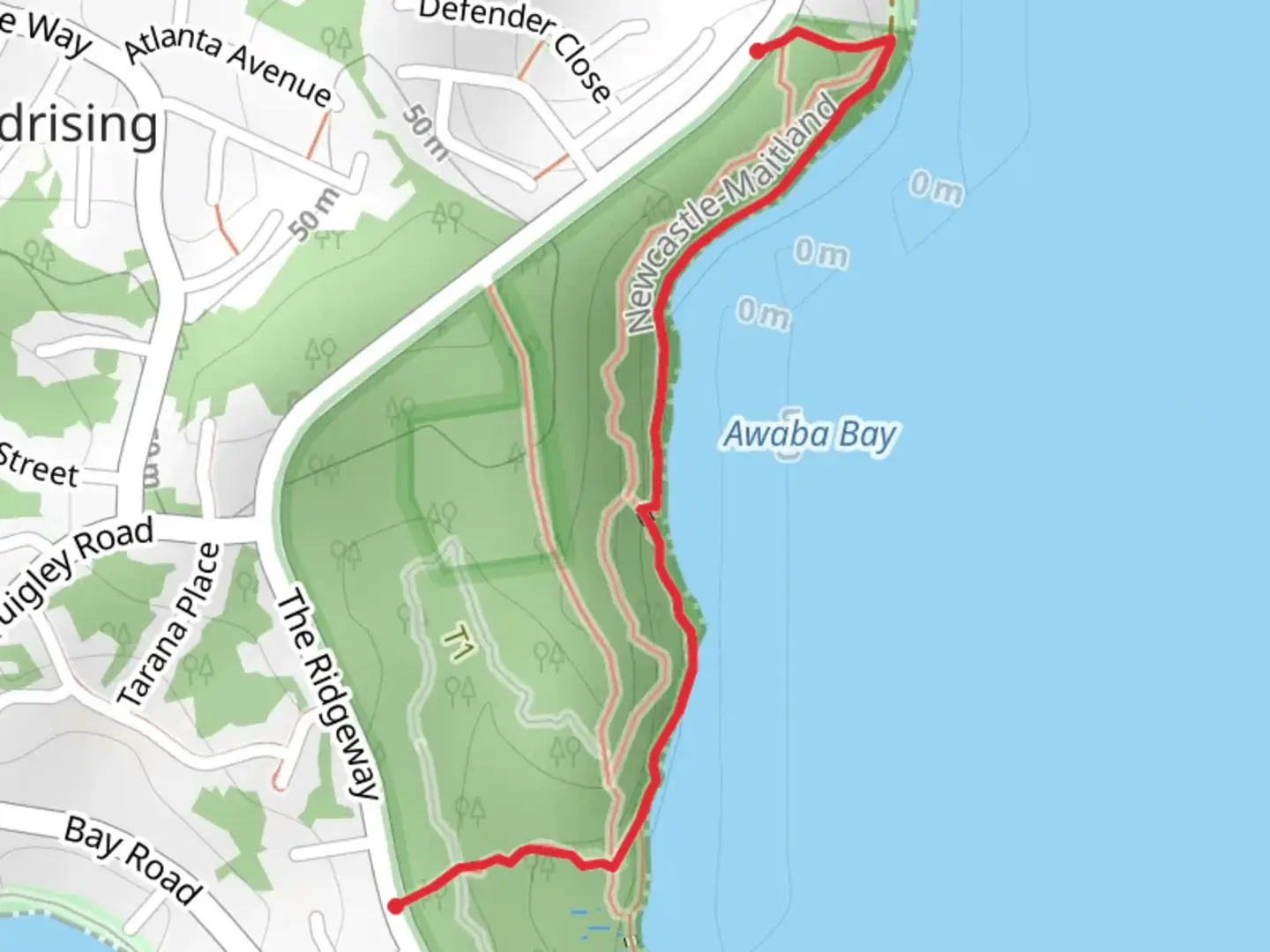 An image depicting the trail Awaba Bay Foreshore Walk and its surrounding area.
