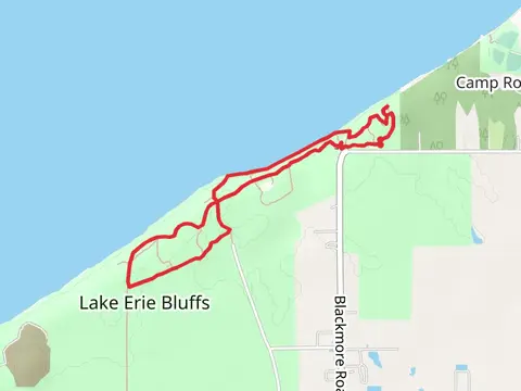Eagle View, Shoreline and Bluff Loop Trail