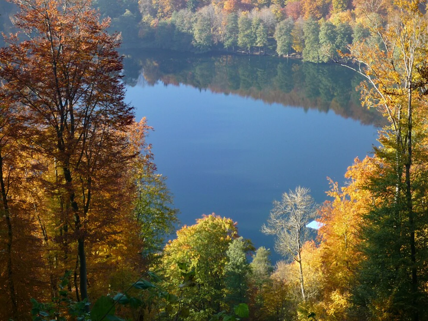 An image depicting the trail Gemündener Maar Loop and its surrounding area.