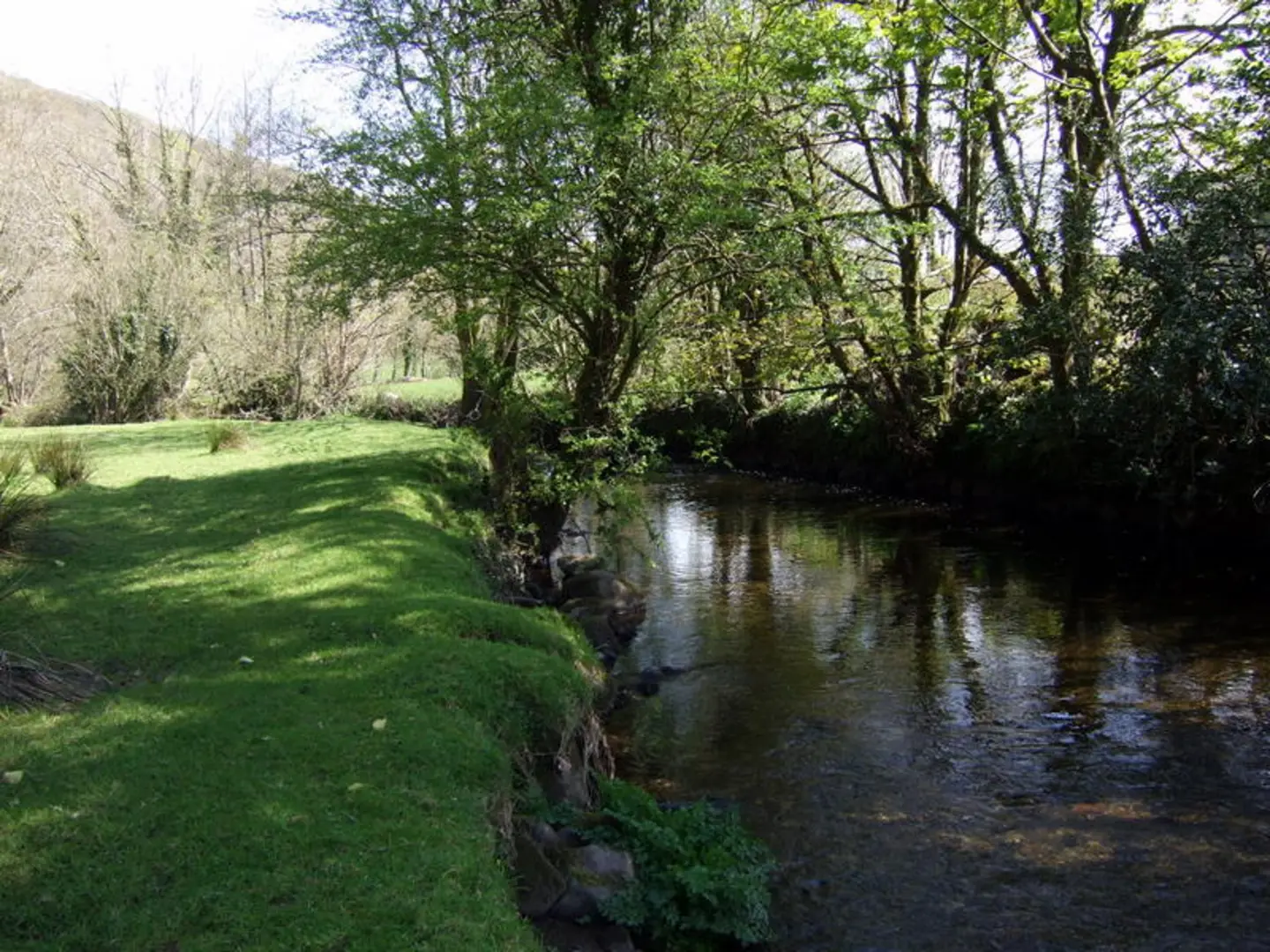 An image depicting the trail Clyn Wood Walk and its surrounding area.