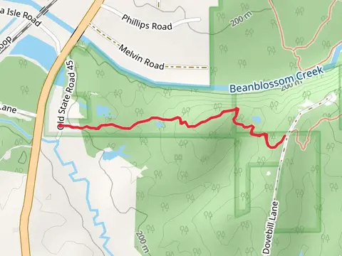 Yellowwood Trail - Short