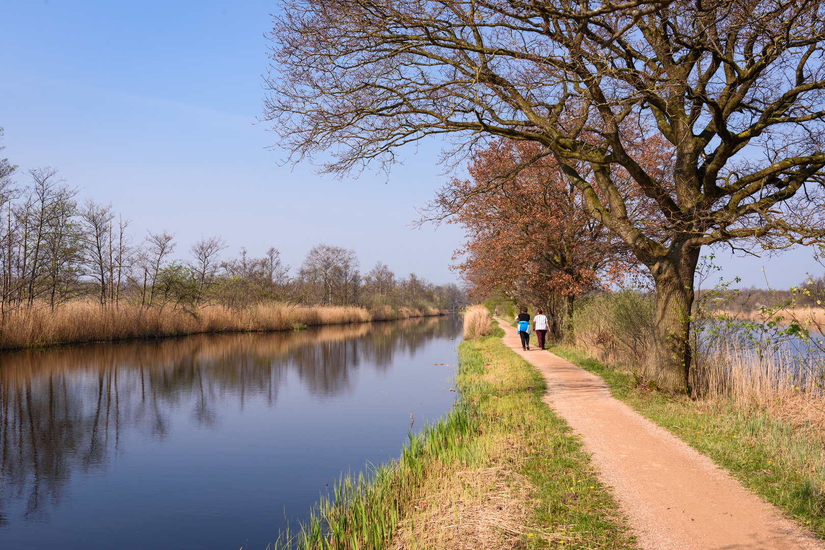An image depicting the trail Ankeveensche, Nederhorst den Berg and Wijde Blik Loop and its surrounding area.
