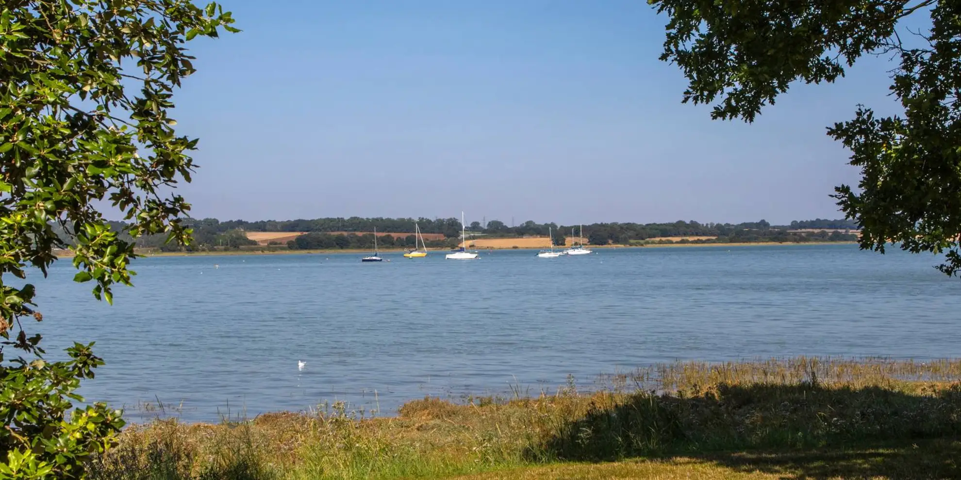 An image depicting the trail Manningtree - Flatford Mill and Dedham and its surrounding area.