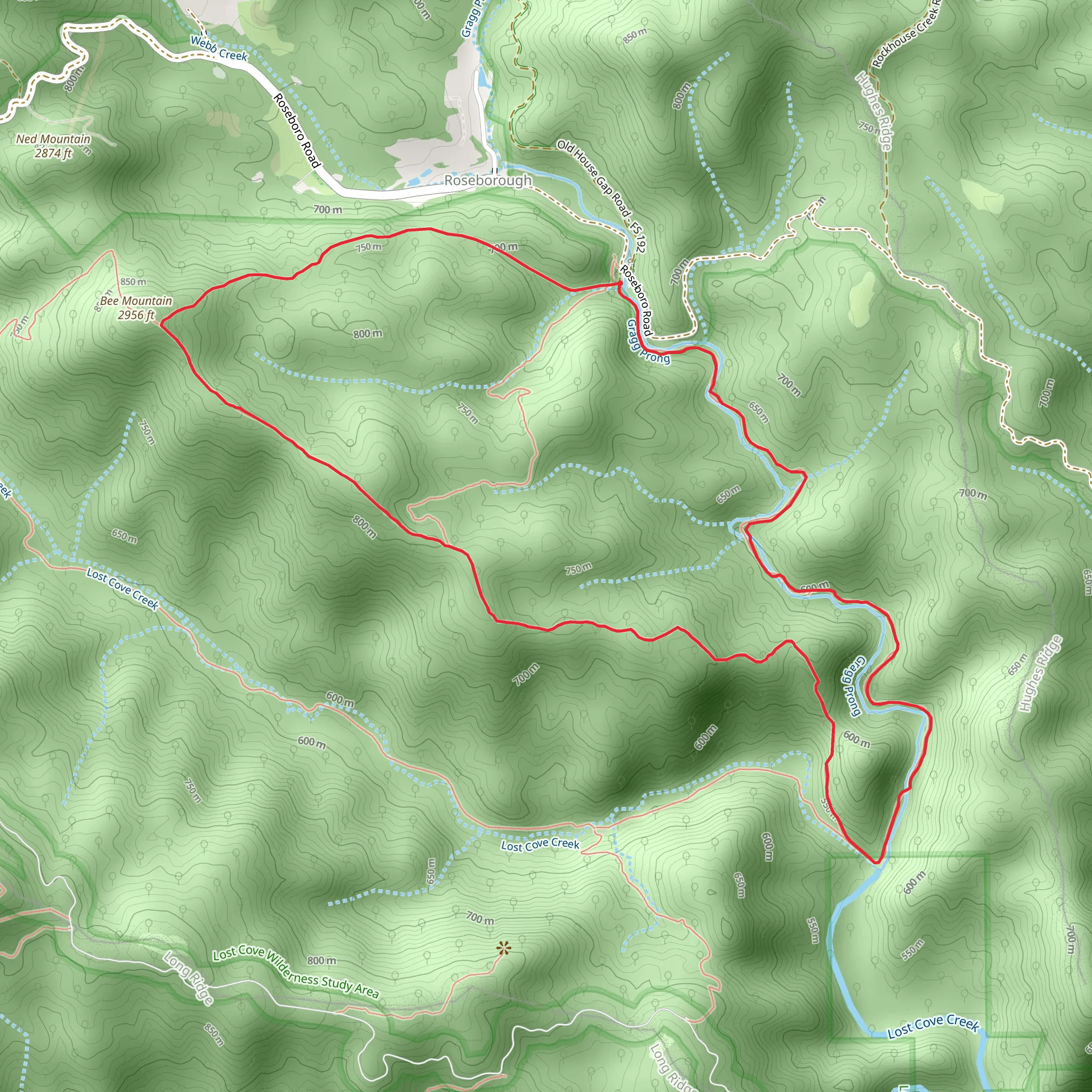 Bee Mountain Loop mobile static map