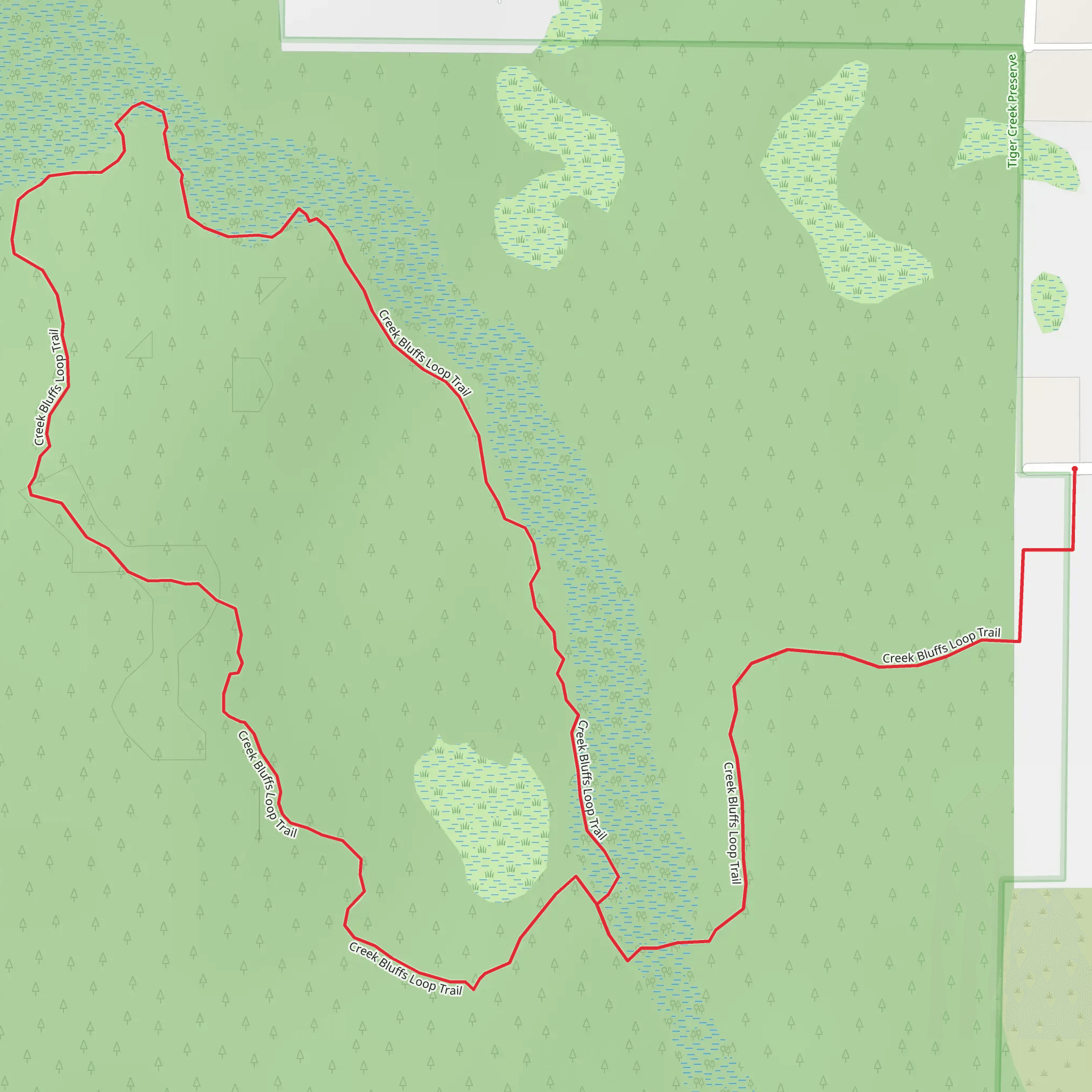Creek Bluffs Loop Trail | Polk County | Florida