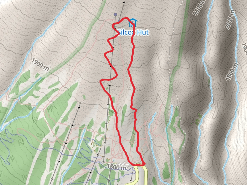 Silcox Hut access road and Mountaineer Loop Trail