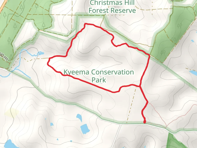 Myrtaceae Hike