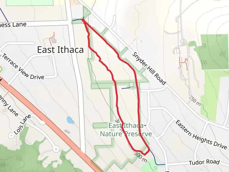 Pew Trail Loop