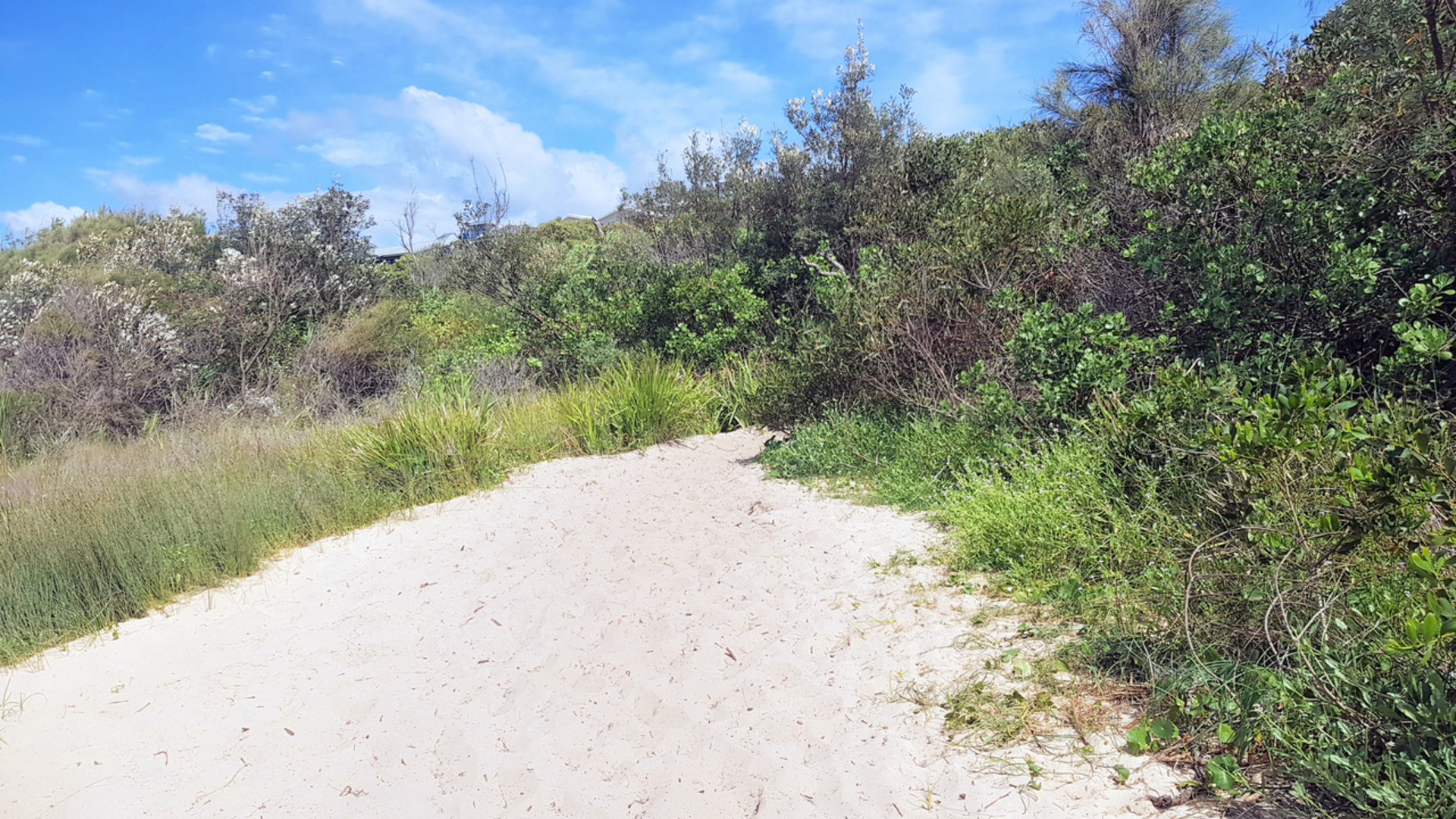 An image depicting the trail Moonee Beach Trail and its surrounding area.